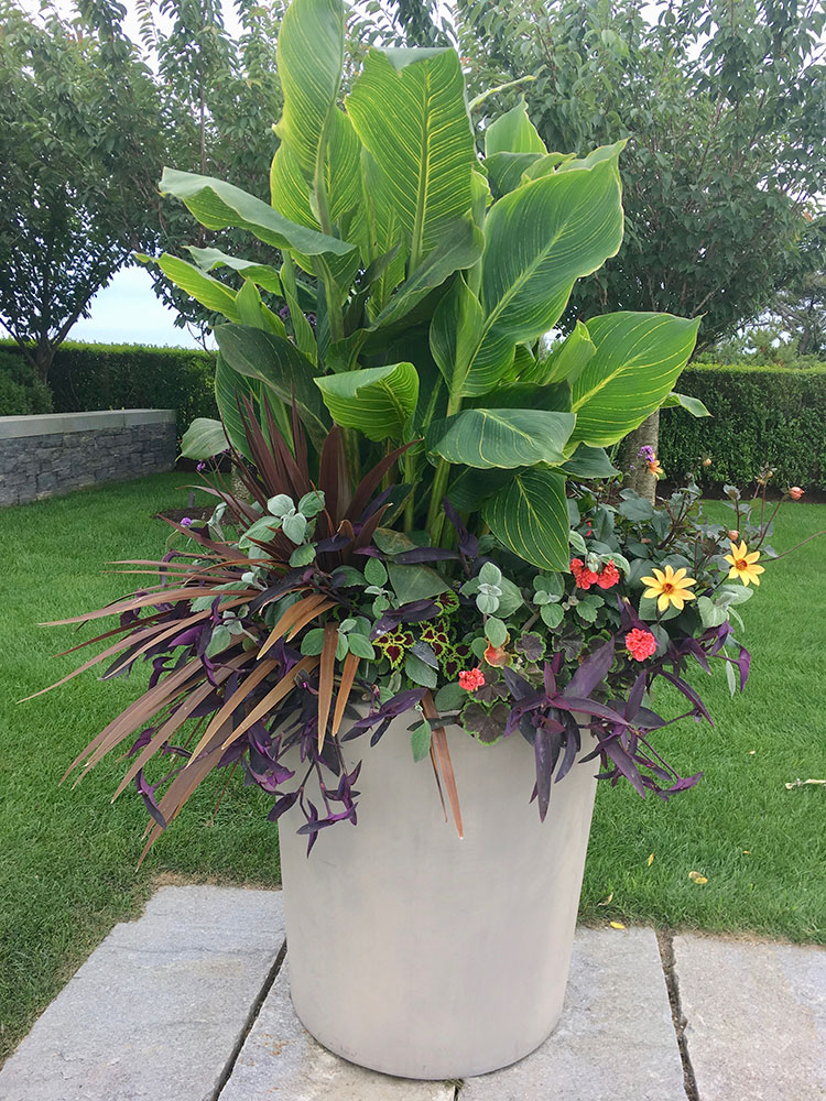 Flower Containers Exotic Tropical - Atlantic Landscaping