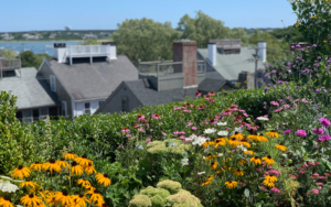 nantucket landscaping property town 3