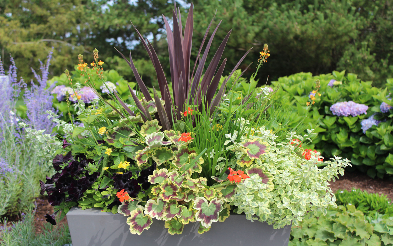 Flower Containers Bold Colors - Atlantic Landscaping