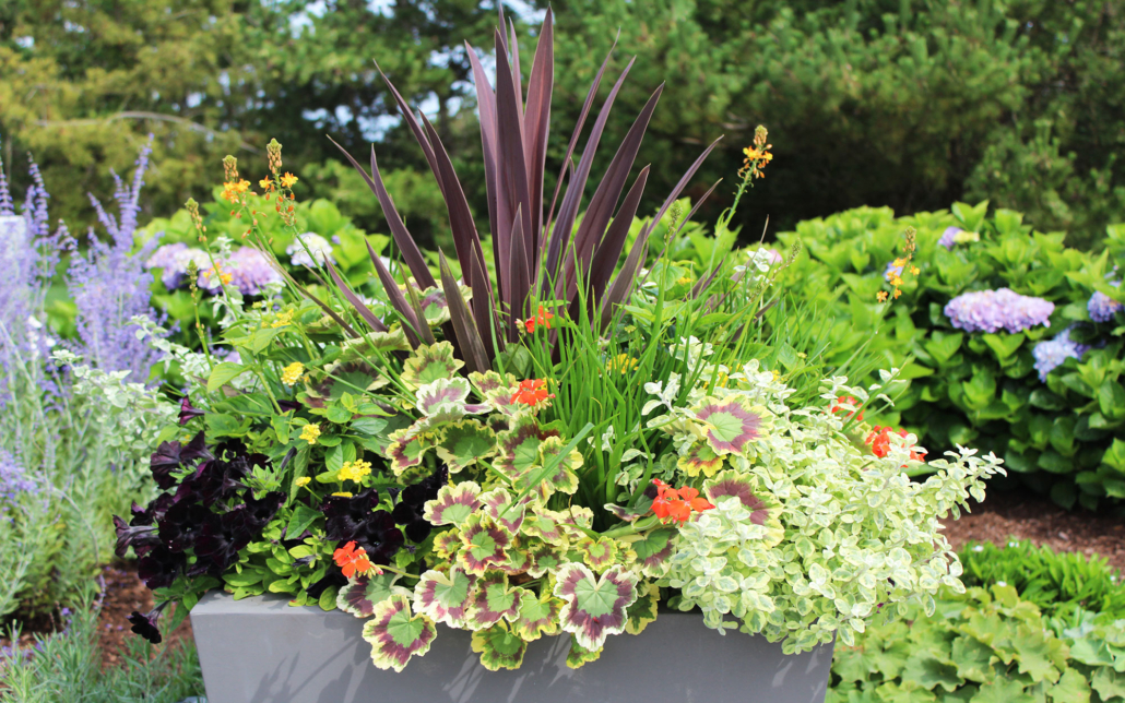 nantucket floral containers