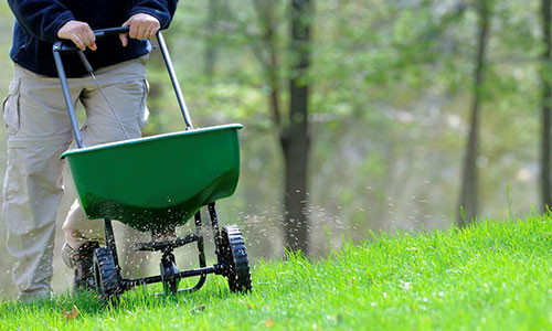 nantucket lawn care fertilizing