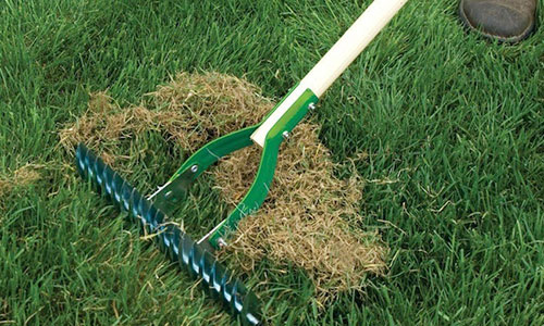 nantucket lawn care dethatching