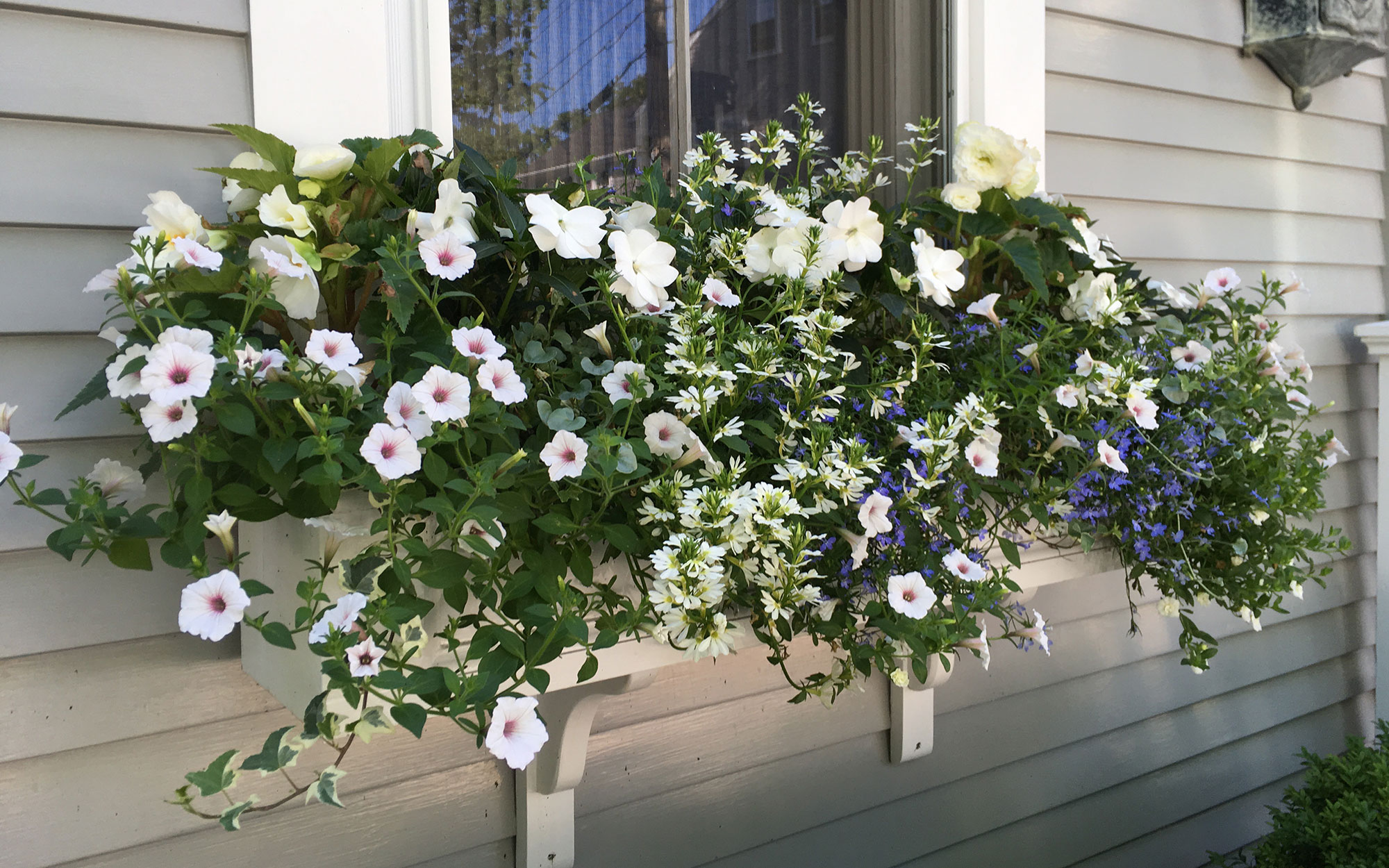 Nantucket Flower Containers and Window Boxes by Atlantic Lanscaping